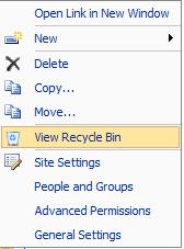 View Recycle Bin