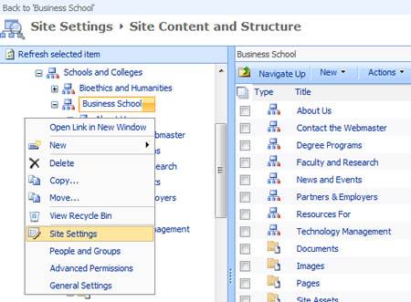 use the drop menu to choose site settings